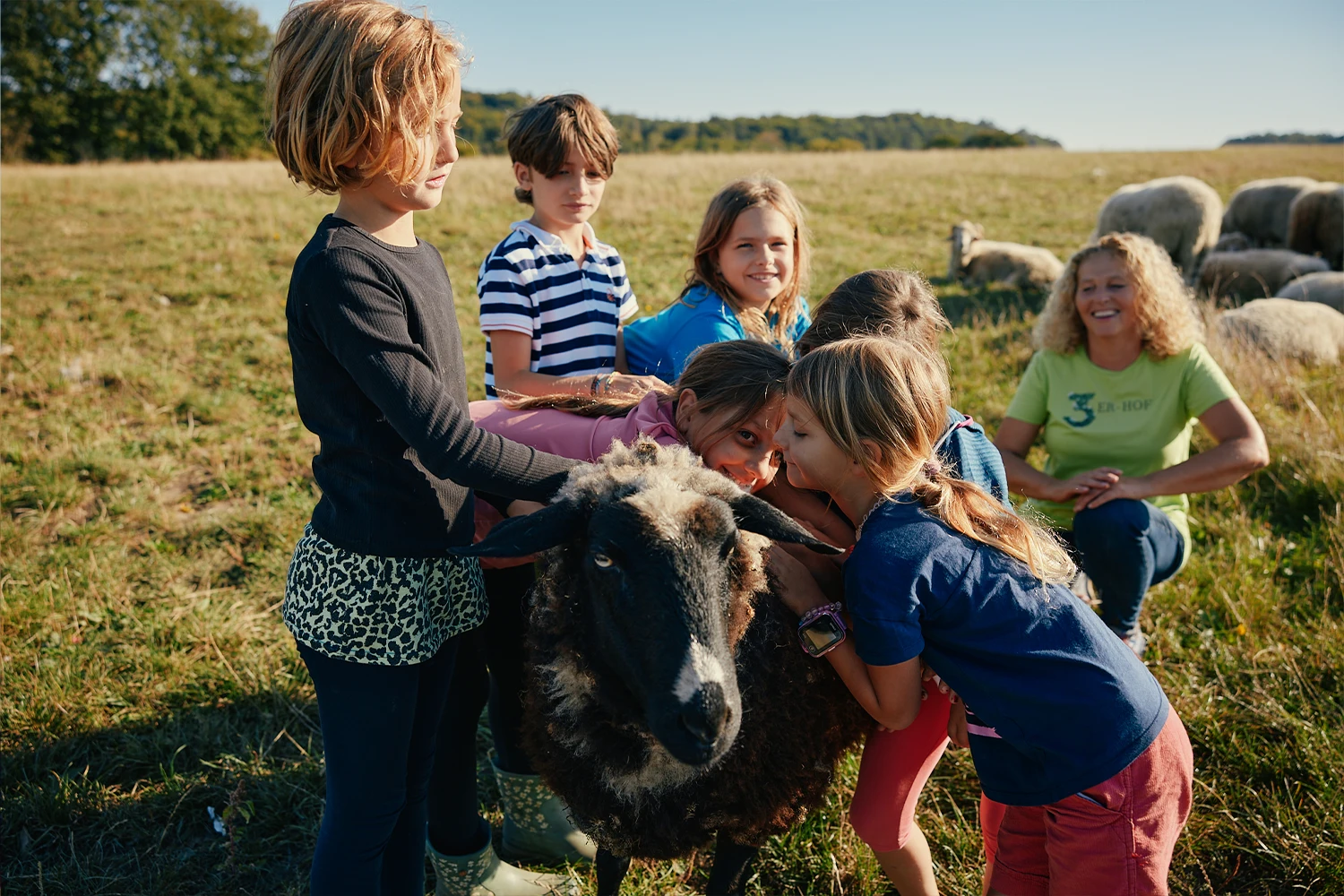 3. Aktionsprogramm Kinder mit Schaf